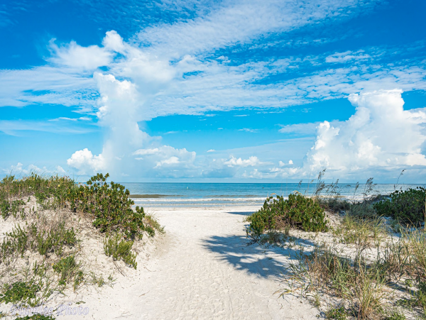 On Beach Indian Rocks Vacation Condo Two Bedrooms